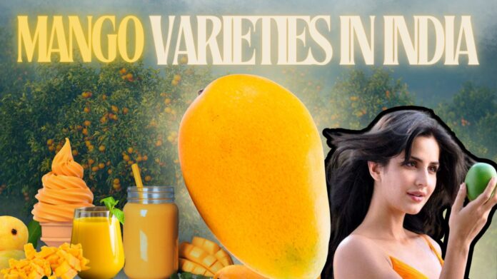 Mango varieties in India