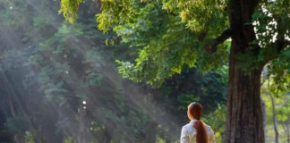 Mindfulness & Meditation Revolution : Conquer Stress and Anxiety Mindfulness